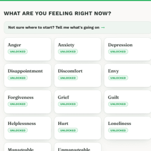 Emotional Mastery App