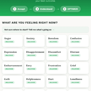 20 emotional mastery roadmaps
